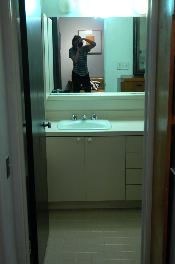 Little Green Notebook Painting Laminate Bathroom